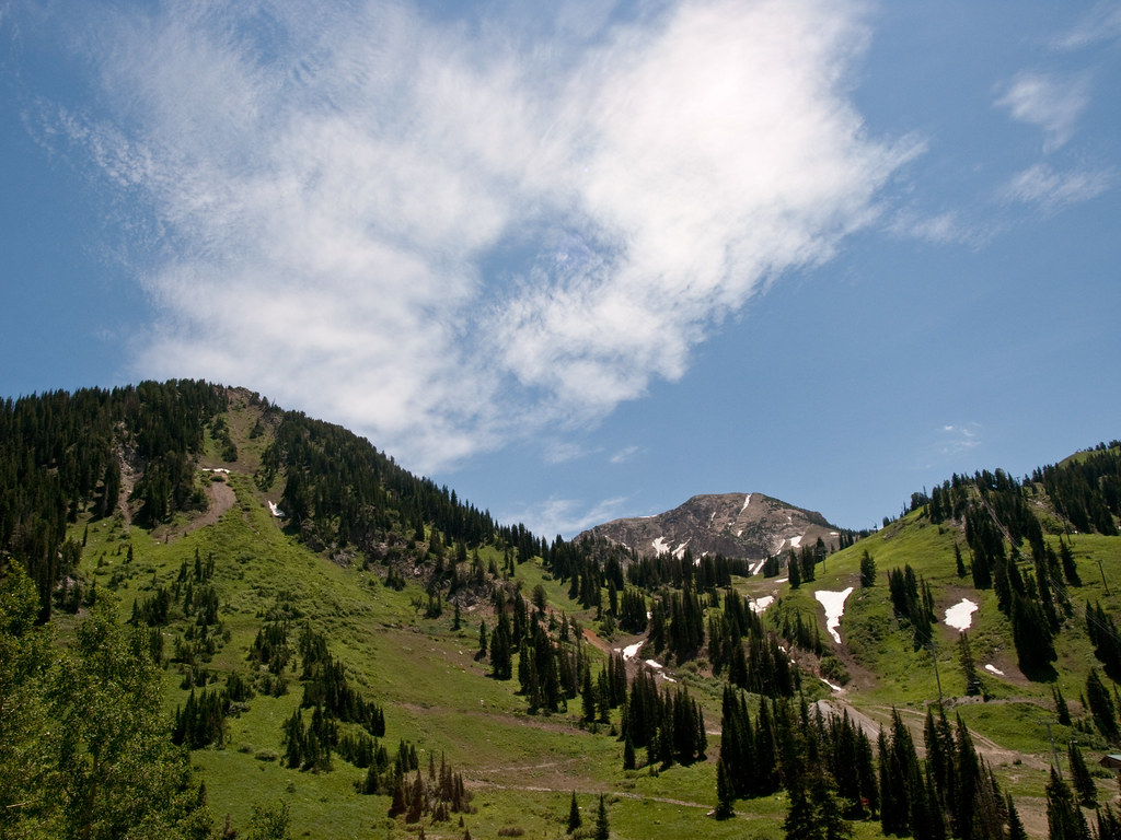 Green mountain with pine trees under a blue sky with clouds.